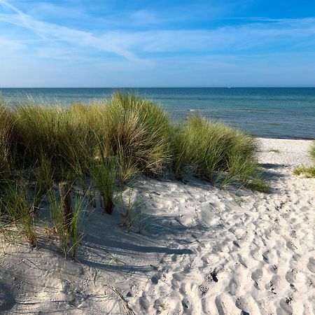 Daenische Ferienhaeuser Am Salzhaff Haus Vogelparadies Poel Exterior foto