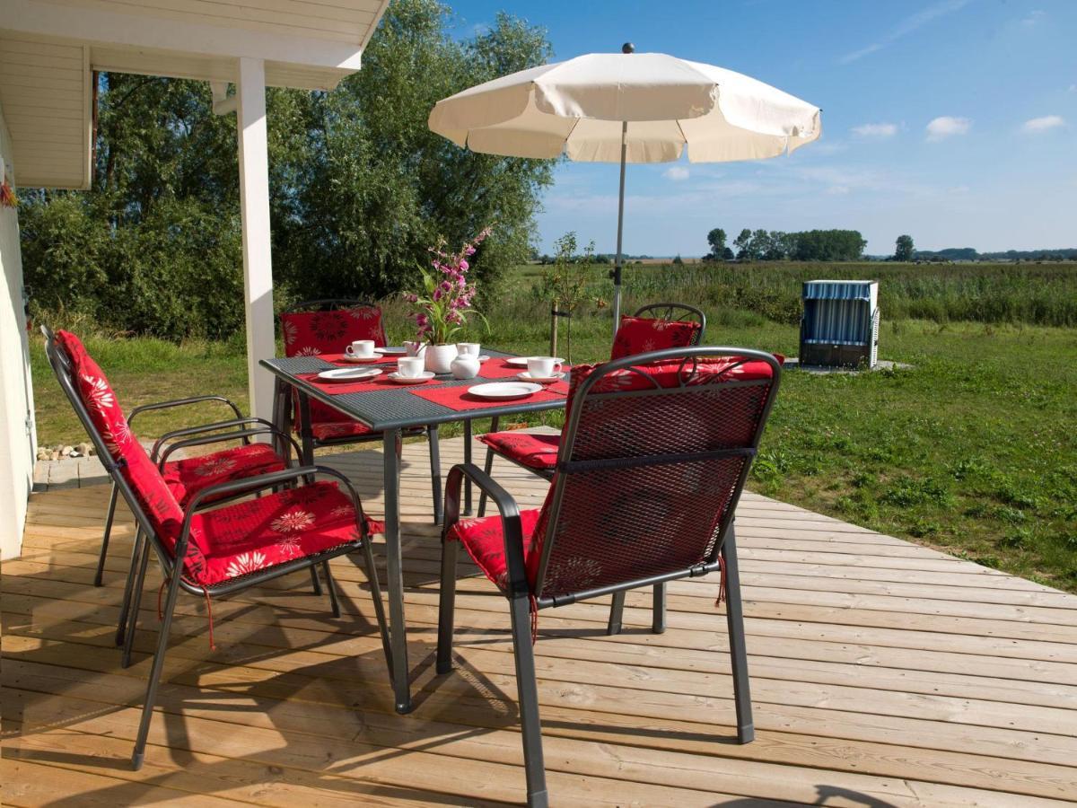 Daenische Ferienhaeuser Am Salzhaff Haus Vogelparadies Poel Exterior foto