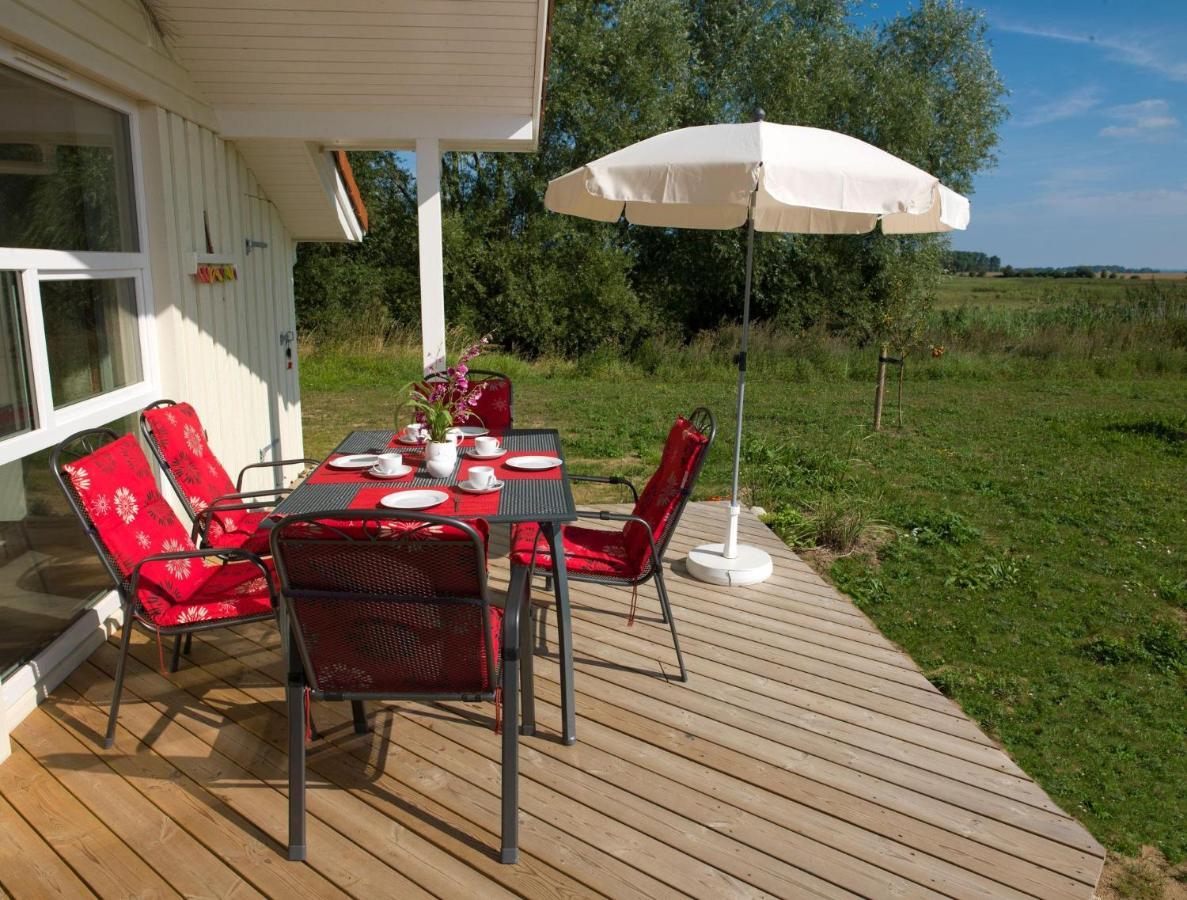 Daenische Ferienhaeuser Am Salzhaff Haus Vogelparadies Poel Exterior foto