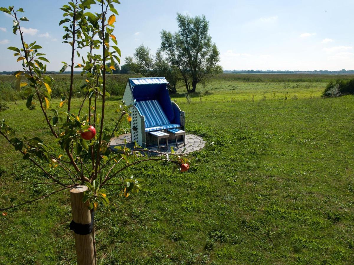 Daenische Ferienhaeuser Am Salzhaff Haus Vogelparadies Poel Exterior foto