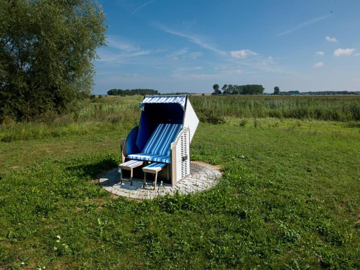 Daenische Ferienhaeuser Am Salzhaff Haus Vogelparadies Poel Exterior foto